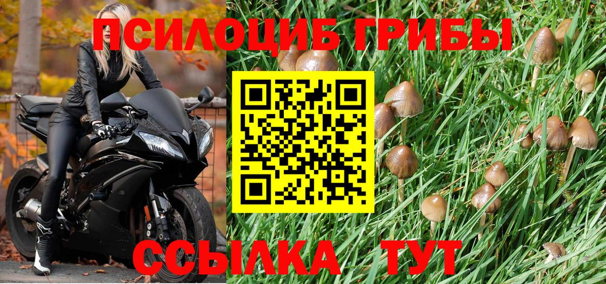 Галлюциногенные грибы Cubensis  Псилоцибиновые грибы Psilocybine cubensis  Димитровград  Вход с VPN 